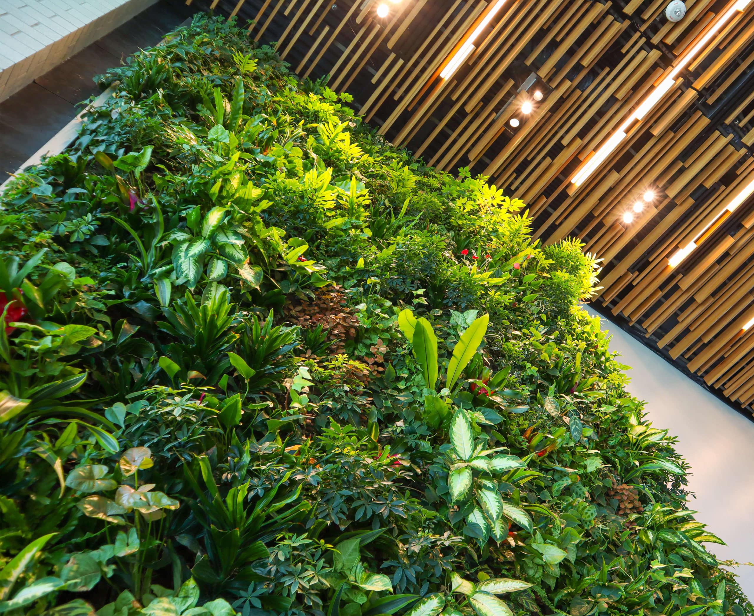 Da un toque de elegancia a tu espacio interior con el Jardín Artificial Vertical Pared recubierta con un Césped Vertical Artifiical.