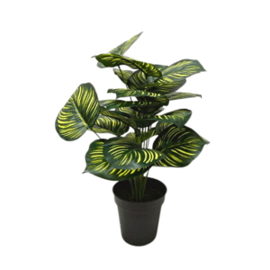 Plante artificielle Maranta 70 cm