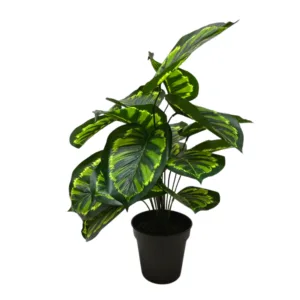 Planta Calathea artificial 70cm