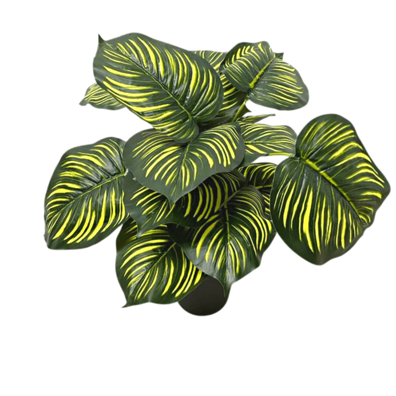 Planta artificial Maranta de 70 cm