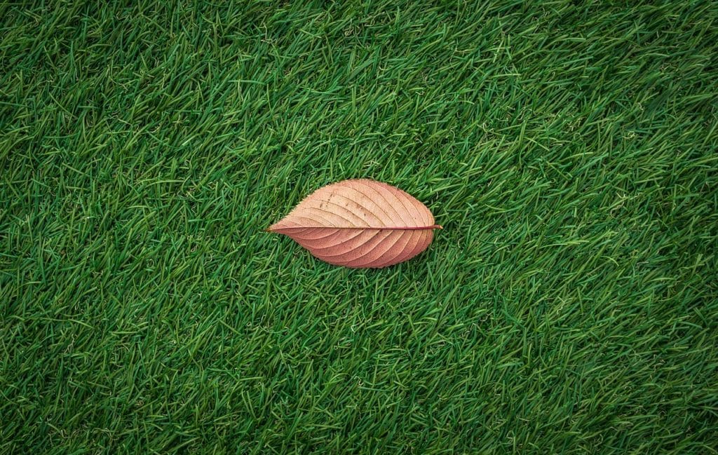 Hoja caída en una alfombra de césped artificial.