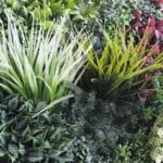 Details zum künstlichen vertikalen Garten Joint Spring Garden