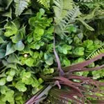 Jardín Vertical Colur Spring Lights