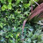 Jardín vertical Colour Spring en detalles