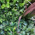 Jardín vertical Colour Spring en detalles