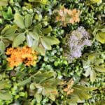 Detalles jardín vertical Eden Garden