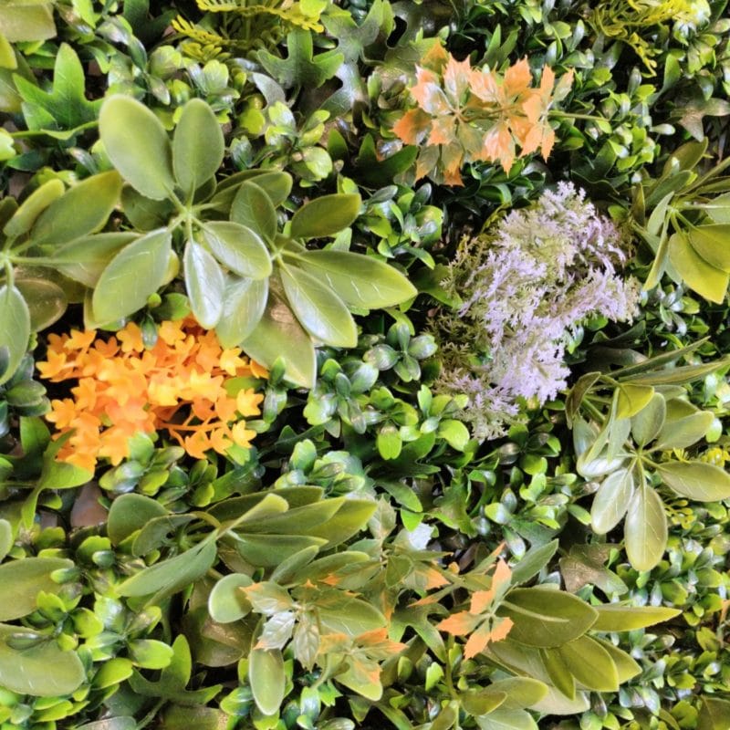 Detalles jardín vertical Eden Garden
