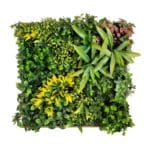 Jardín Vertical Fenix Frame