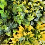 Le jardin vertical Fenix ​​Frame en détail