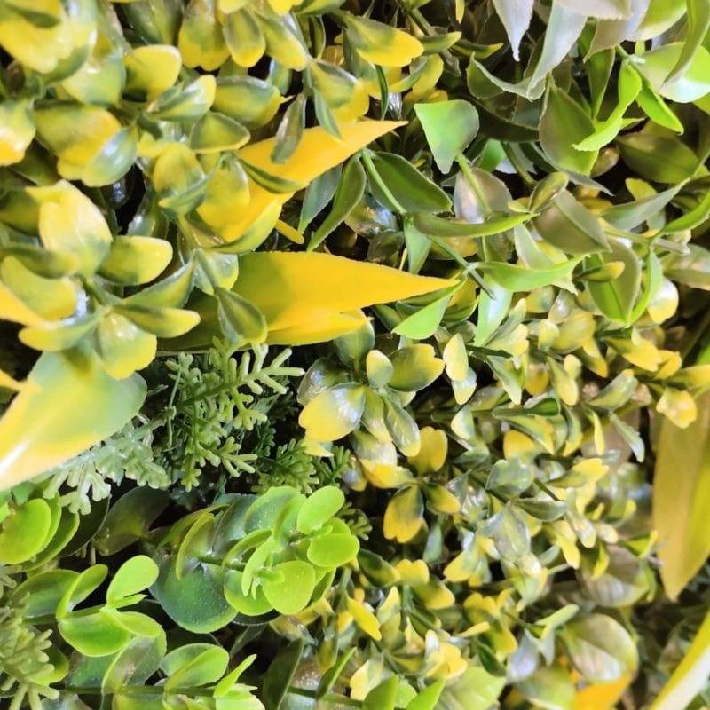 Jardín Vertical Fenix Frame en detalle