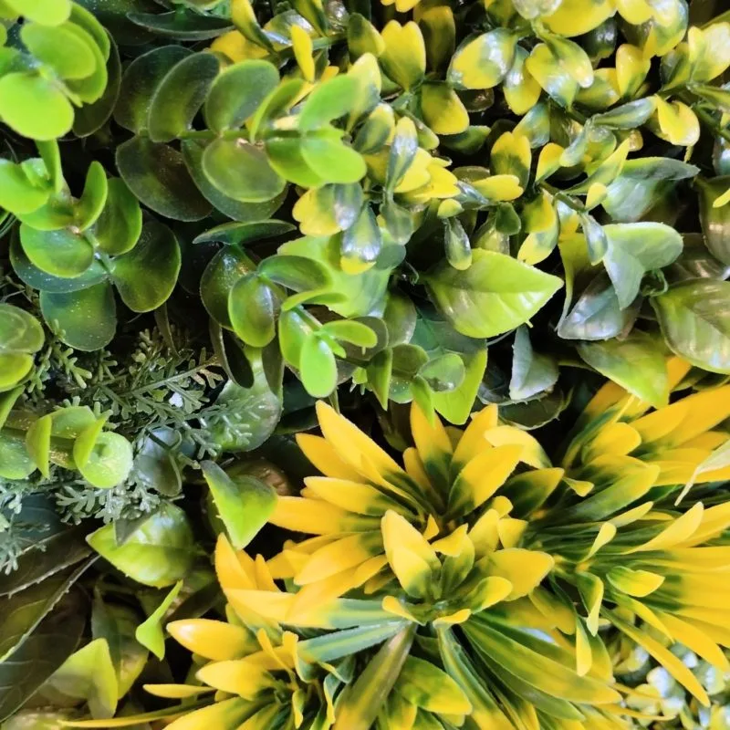 Le jardin vertical Fenix ​​Frame en détail