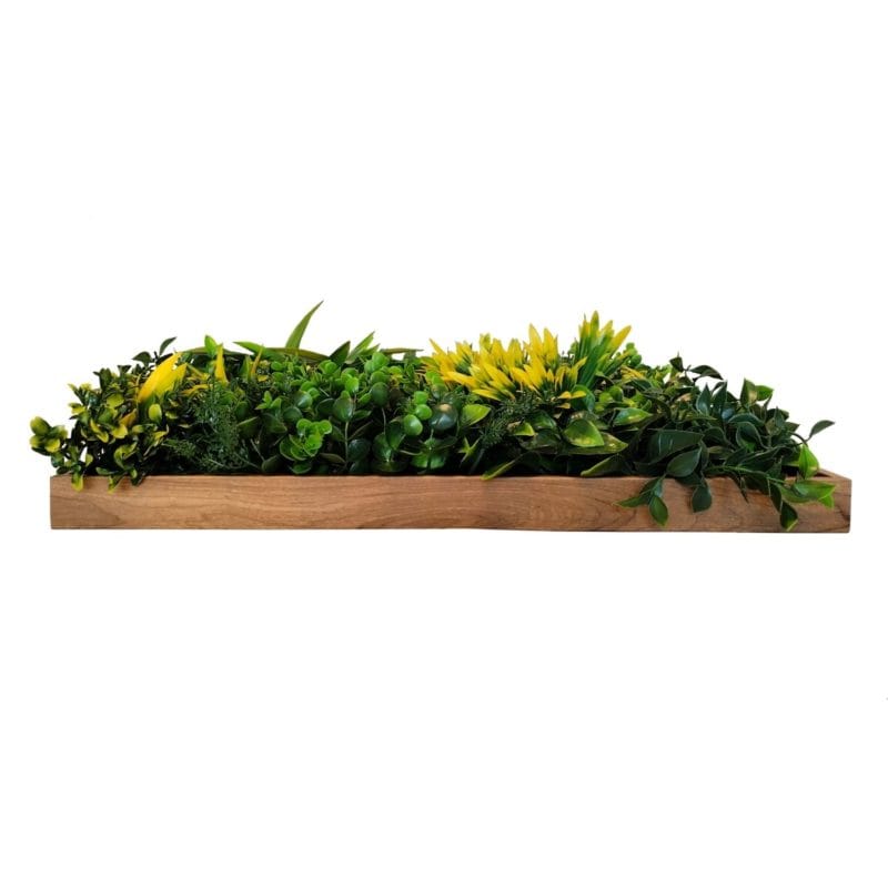 Jardín Vertical Fenix Frame lateral
