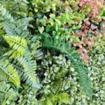 Jardín Vertical Green Nature detalles