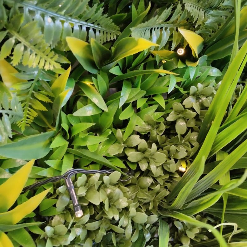 Green Nature Lights en detalle