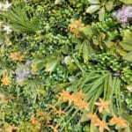  Eden Garden Garden en détail