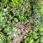  Fresh Garden vertical garden in detail