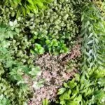 Giardino verticale fresco nel dettaglio Giardino verticale Fresh Garden nel dettaglio