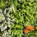 Jardín Vertical Artificial Sunset en detalle