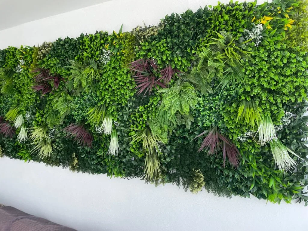 Image n° 1 par Julio L.