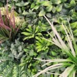 Jardín vertical Celestial con marco en detalle