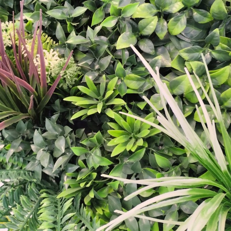 Jardin vertical céleste avec cadre en détail