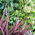  Harmony Frame Vertical Garden in detail