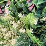 Harmony Frame en detalle