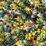 Jardín Artificial Autumn Garden