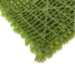 Backing musgo Tree Moss