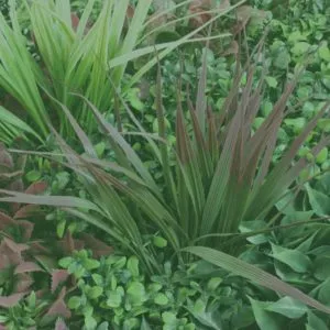 Jardim vertical artificial oferece