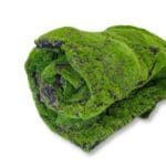Musgo Artificial Cushion Moss