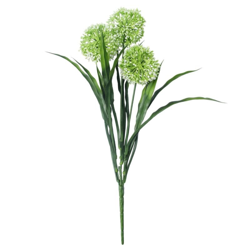Flor Allium Blanca