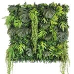  New Rainforest vertikaler Regenwaldgarten