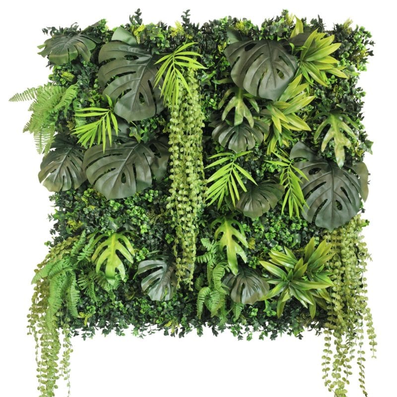Jardín Vertical New Rainforest