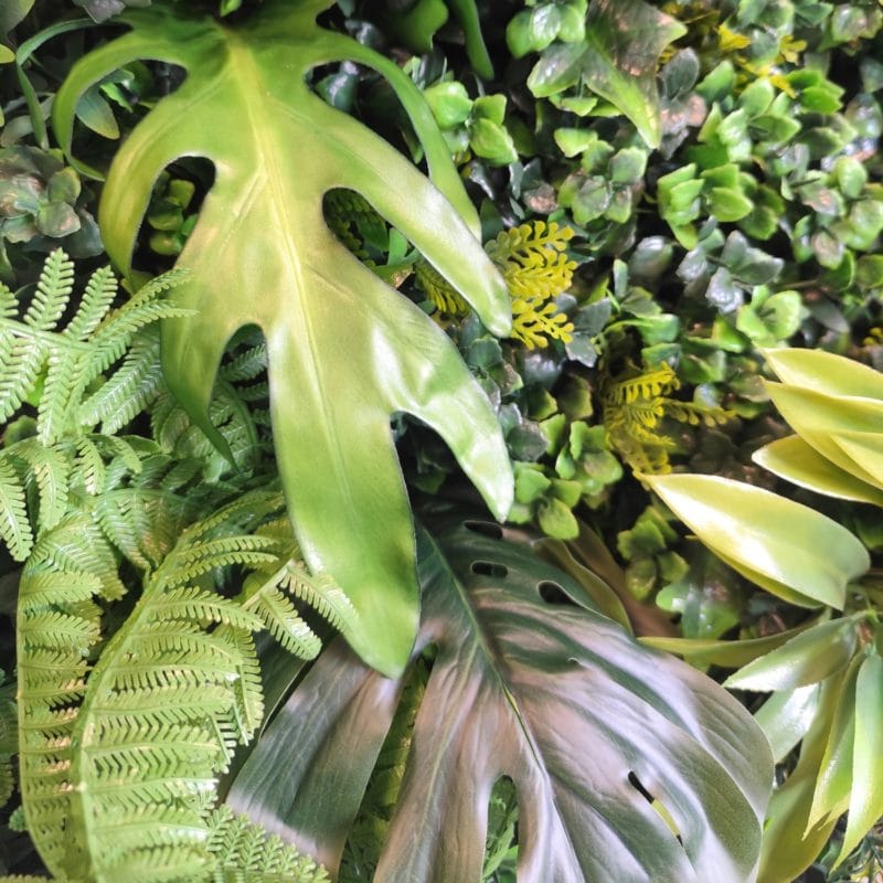 Detalles jardín New Rainforest