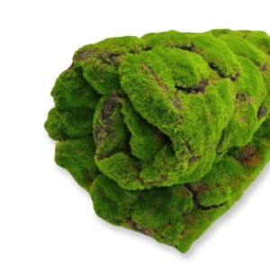 Musgo Artificial Springy Moss