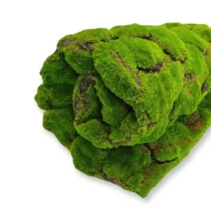 Musgo Artificial Springy Moss