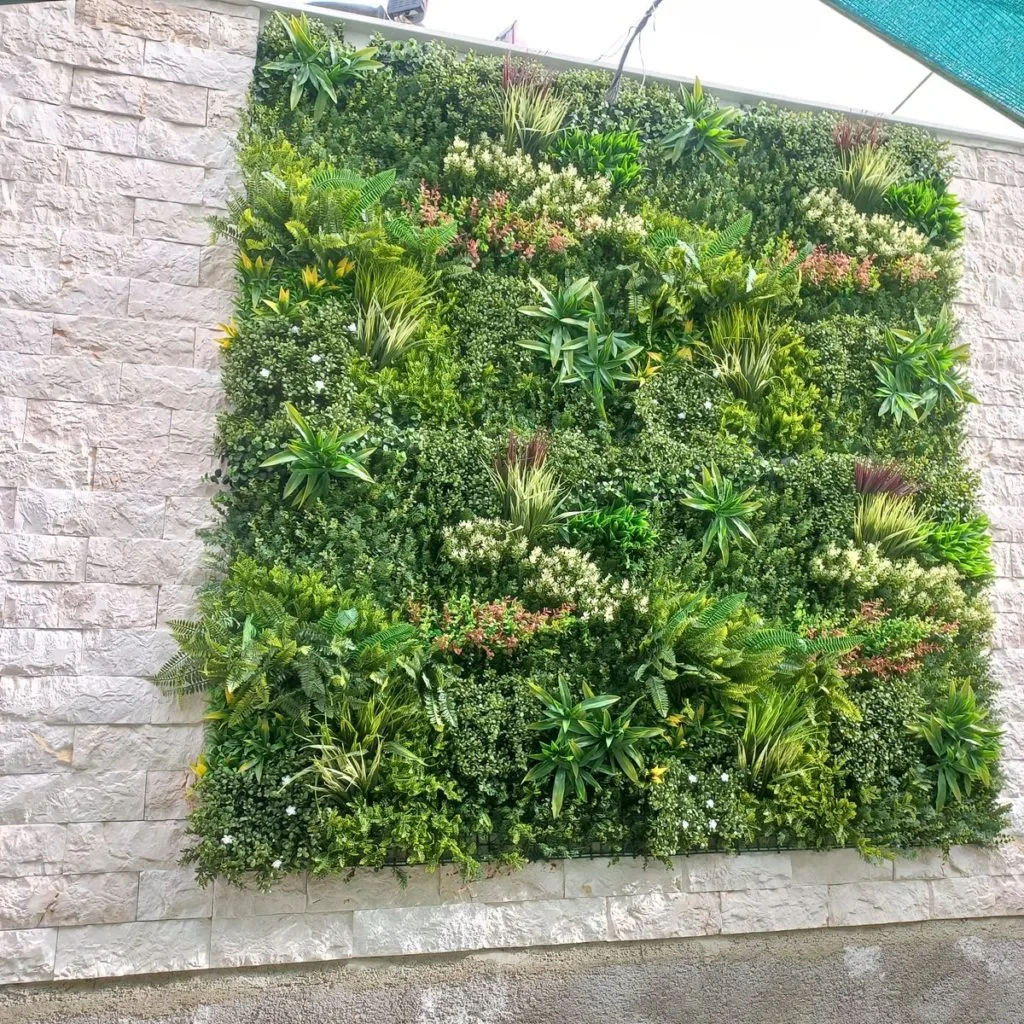 Image n°1 de Maria Isabel Salas Pérez