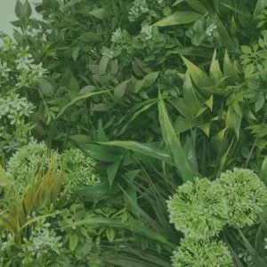 Jardim vertical artificial