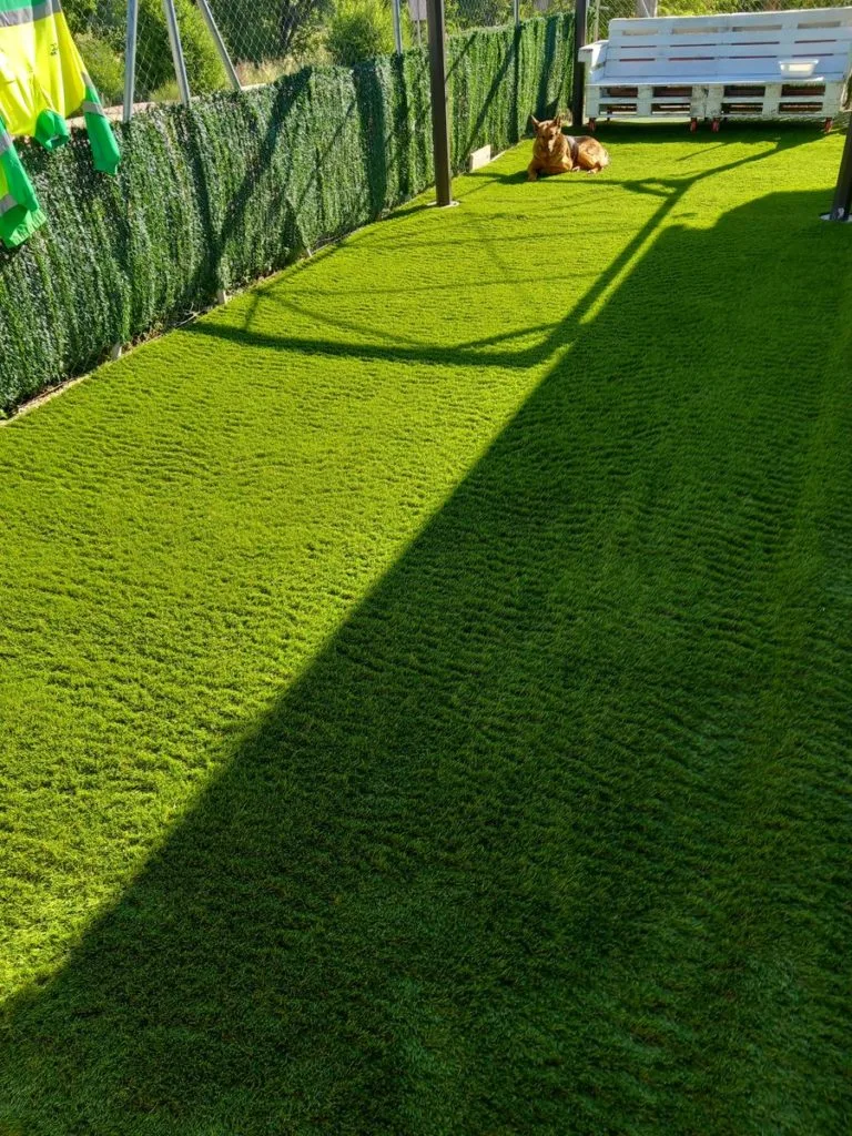 Imagen #1 de José Antonio Jiménez Ruiz