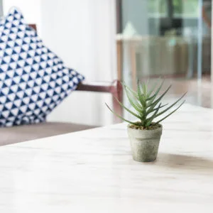 Decorazione con aloe vera artificiale