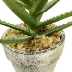 Vaso artificial de planta de aloe vera