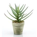 aloe vera artificial