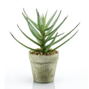 Aloe vera artificial