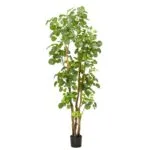 Árbol Aralia artificial