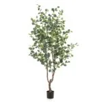 Árbol Eucalyptus 180cm Árbol Eucalipto 180 cm