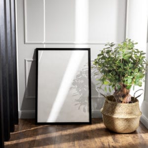 botanische Ficus-Dekoration