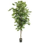 Künstliche Premium-Ficus-Pflanze