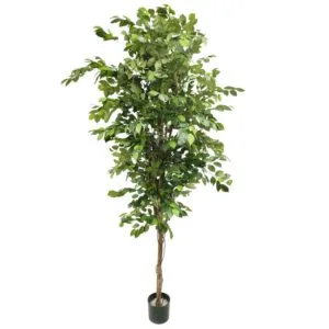 Planta ficus premium artificial