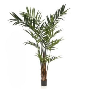 Planta artificial Kentia Maxi